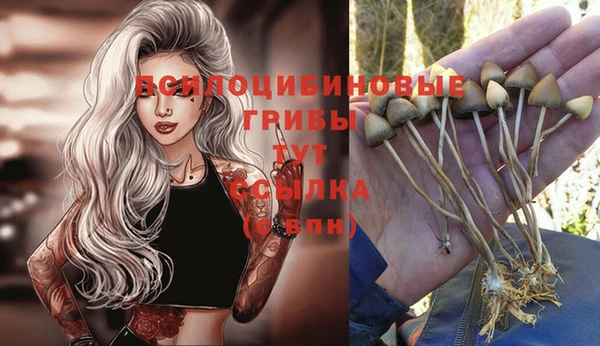 дурь Алексеевка