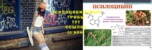 круглые Алексин
