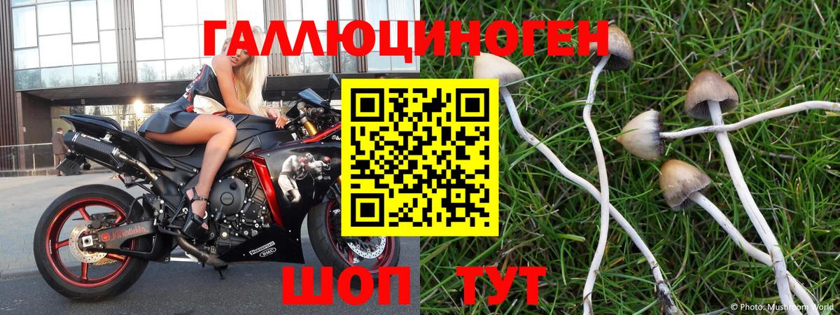 Псилоцибиновые грибы мицелий  Вход с VPN  Петрозаводск 
