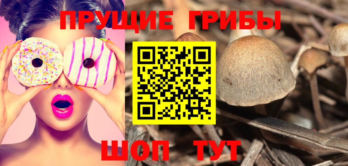 Галлюциногенные грибы MAGIC MUSHROOMS Петрозаводск